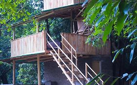 Forest Tree Top Holiday Resort
